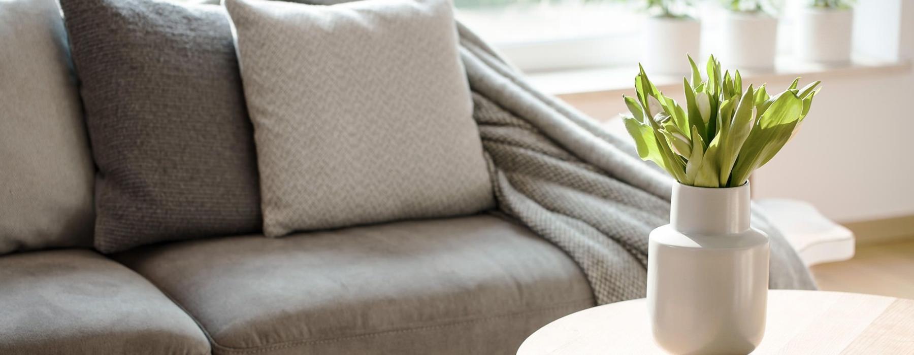 sunlight pours through a large window in furnished living room