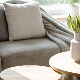 sunlight pours through a large window in furnished living room
